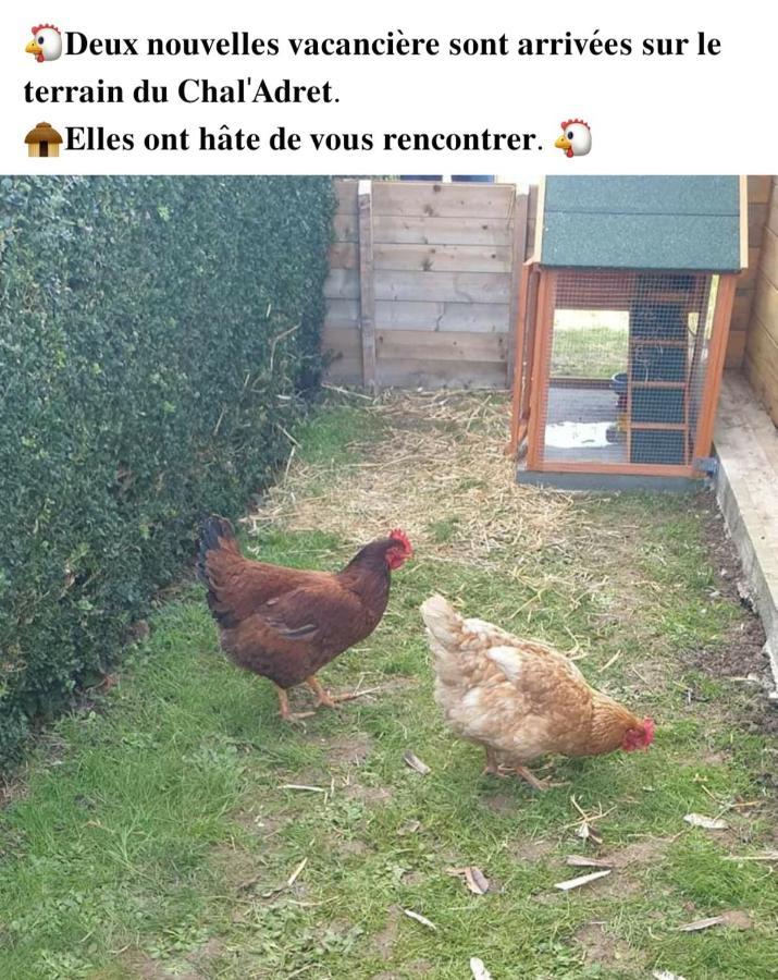 Le Chal Adret Villa Cardonville Eksteriør billede